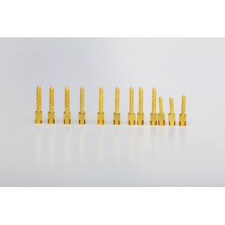 Pivoti gold plated 12 buc - 